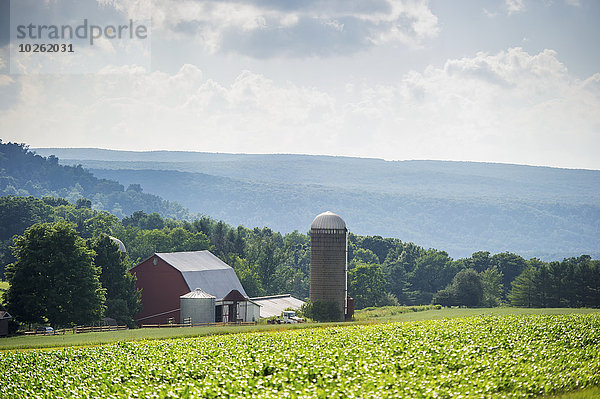 Landschaftlich schön landschaftlich reizvoll Amerika Landschaft Bauernhof Hof Höfe Verbindung Maryland