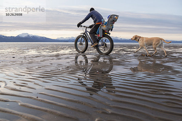 Strand Menschlicher Vater Sohn fahren rennen Hund Kenai-Fjords-Nationalpark nebeneinander neben Seite an Seite mitfahren Kenai-Halbinsel