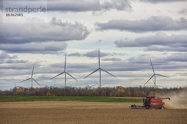 Windturbine Windrad Windräder entfernt ernten drehen Sojabohne Mähdrescher Kanada Ontario