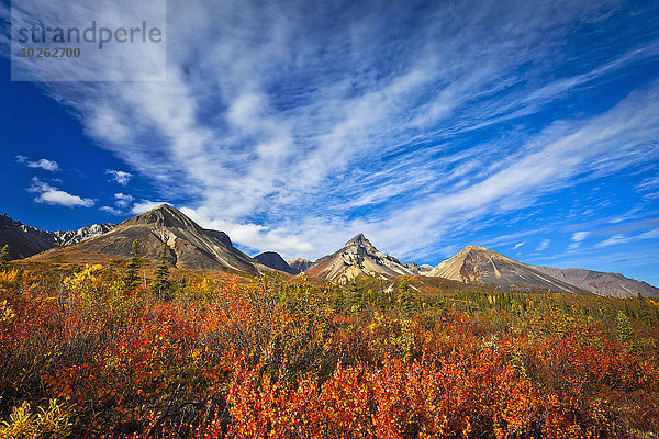 Nationalpark Farbaufnahme Farbe Himmel unterhalb Vulkan blau Mount Saint Elias Wrangell–St. Elias National Park and Preserve