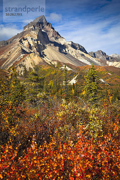 Nationalpark Farbaufnahme Farbe Himmel unterhalb Vulkan blau Mount Saint Elias Wrangell–St. Elias National Park and Preserve