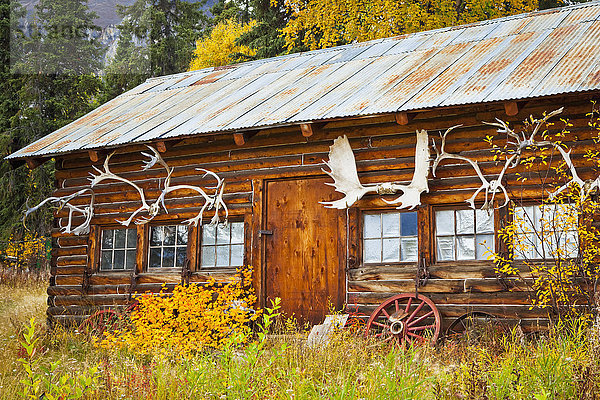 Nationalpark Farbaufnahme Farbe Blockhaus Geschichte Herbst umgeben Mount Saint Elias Wrangell–St. Elias National Park and Preserve