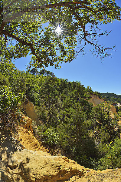 Frankreich Sommer Provence - Alpes-Cote d Azur Ockerberge Sonne Vaucluse