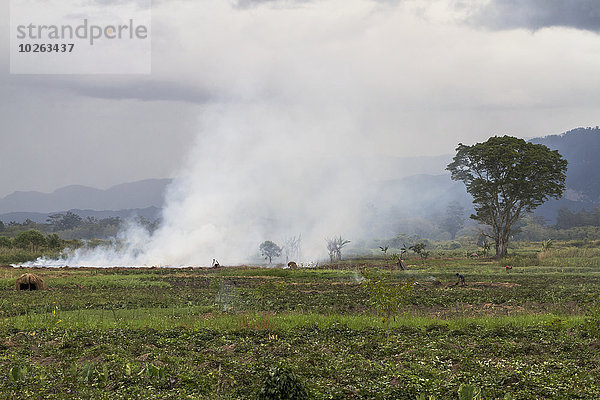 verbrennen Landwirtschaft Tal Mittelpunkt Guinea Indonesien