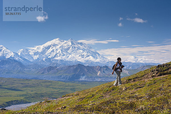 hoch oben nahe Nationalpark Frau folgen Hintergrund wandern Denali Nationalpark Mount McKinley Besucherzentrum