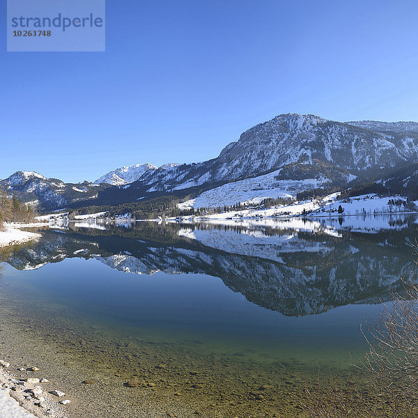 Winter Tag Landschaft See Sonnenlicht Österreich