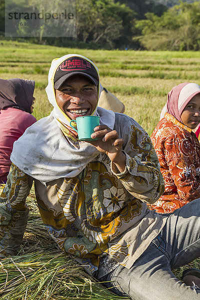 Mann ernten Reis Reiskorn Pause Indonesien Pause machen