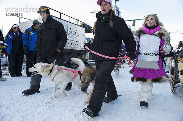 Teamwork Hund Start Alaska Anchorage Innenstadt Linie