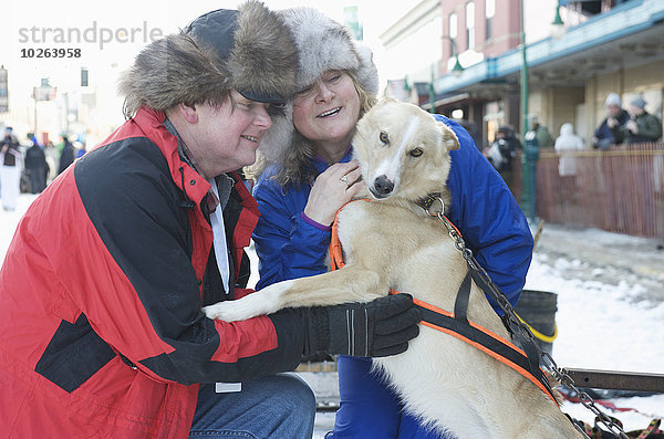 beobachten Hund Besuch Treffen trifft Start Alaska Anchorage Innenstadt