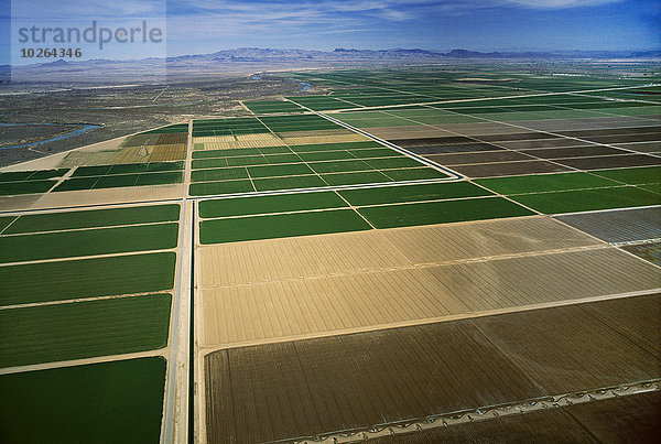 Vereinigte Staaten von Amerika USA entfernt nahe Berg Vorbereitung Landwirtschaft fließen Fluss Feld Arizona anpflanzen Ansicht nähern Luftbild Fernsehantenne Colorado