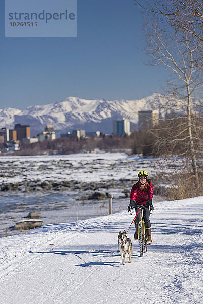 Vereinigte Staaten von Amerika USA junge Frau junge Frauen folgen fahren Küste Fahrrad Rad Fahrradreifen Reifen Alaska Husky