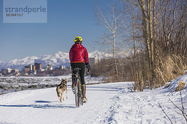 Vereinigte Staaten von Amerika USA junge Frau junge Frauen folgen fahren Küste Fahrrad Rad Fahrradreifen Reifen Alaska Husky
