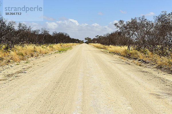 Sommer Fernverkehrsstraße Kies Australien South Australia