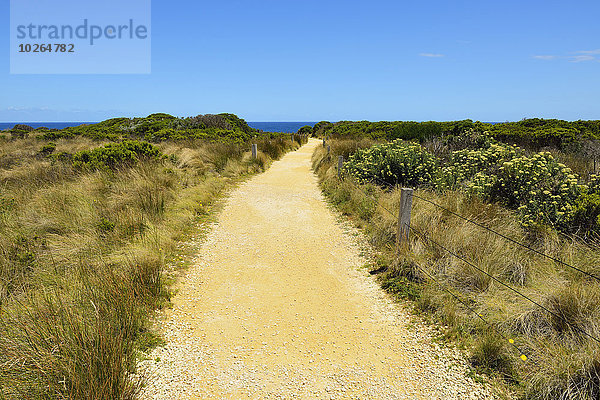 Weg Aussichtspunkt Kies Victoria Australien Great Ocean Road Port Campbell