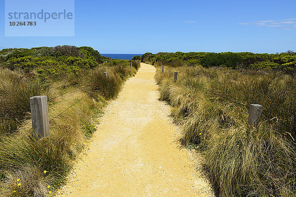 Weg Aussichtspunkt Kies Victoria Australien Great Ocean Road Port Campbell