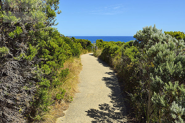 Victoria Australien Great Ocean Road