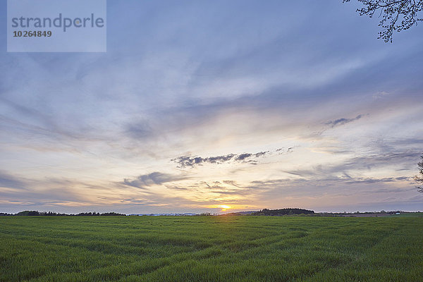 Sonnenuntergang Landschaft Bayern Deutschland Oberpfalz