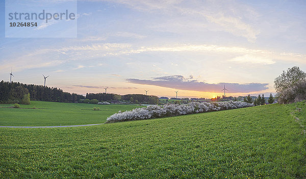 Sonnenuntergang Landschaft Bayern Deutschland Oberpfalz