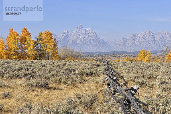 Vereinigte Staaten von Amerika USA Berg Geländer Hintergrund Zaun Grand Teton Nationalpark Bock Jackson Wyoming