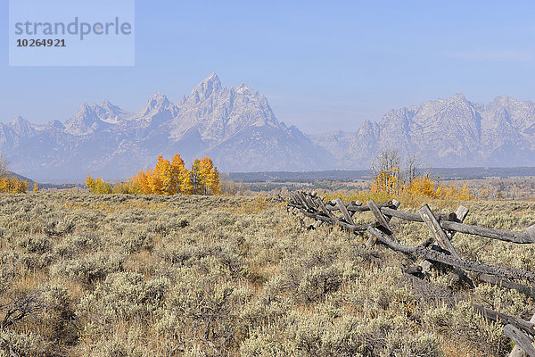 Vereinigte Staaten von Amerika USA Berg Geländer Hintergrund Zaun Grand Teton Nationalpark Bock Jackson Wyoming