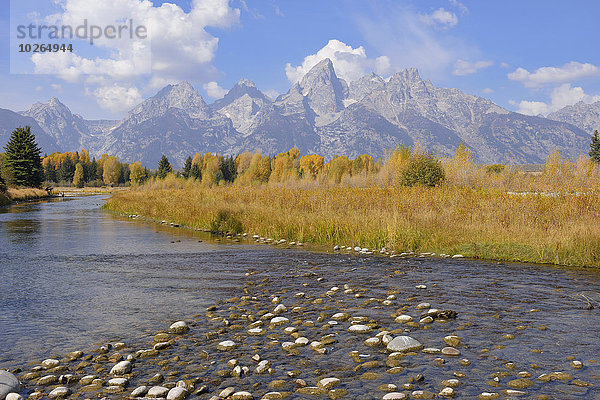 Vereinigte Staaten von Amerika USA Berg Herbst landen Wyoming