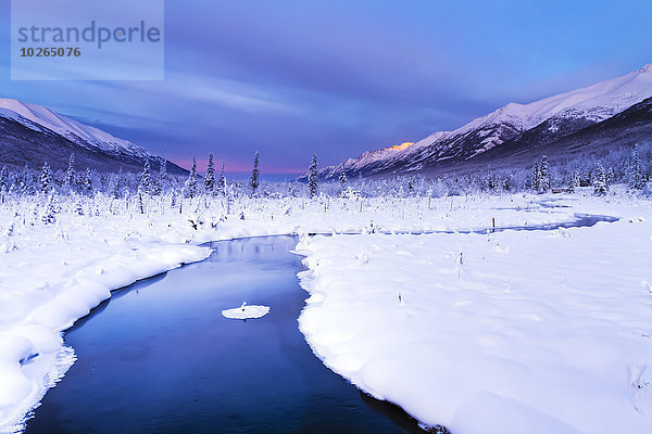 Berg Winter sehen Beleuchtung Licht Fluss Ansicht Terrasse Lachs Adler