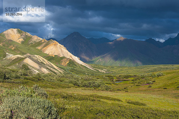 Nationalpark bauen Wolke Dunkelheit über Fernverkehrsstraße Hintergrund Denali Nationalpark Zobel Martes zibellina Alaska Weidenröschen Linie