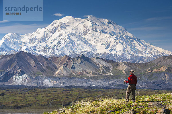 Fröhlichkeit Sommer Hügel wandern Ansicht Mount McKinley