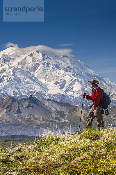 Sommer Hügel frontal wandern Mount McKinley