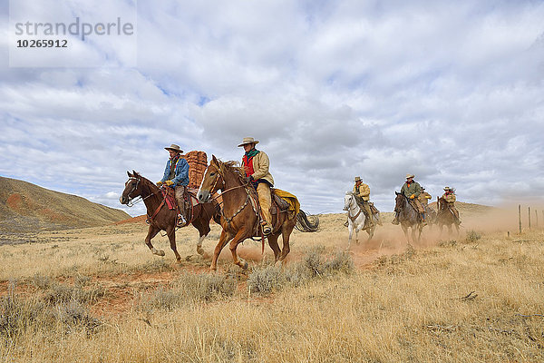Vereinigte Staaten von Amerika USA Cowgirl Cowboy