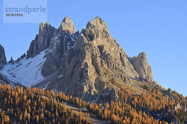 Wald Alpen Herbst Dolomiten Venetien Laub Italien