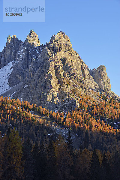 Wald Alpen Herbst Dolomiten Venetien Laub Italien