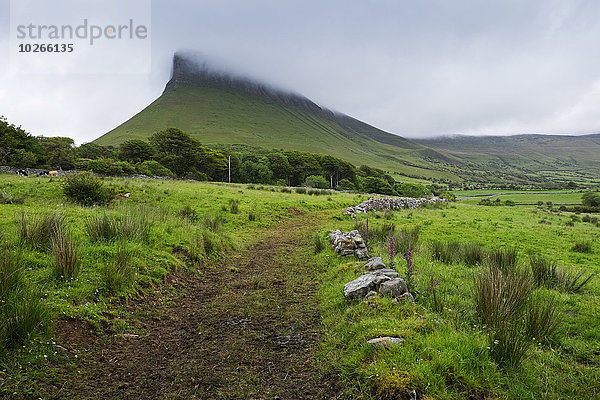 Benbulbin with mist  Dartry Mountains  County Sligo  Republic of Ireland