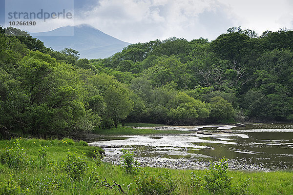 Nationalpark Landschaftlich schön landschaftlich reizvoll Ansicht Kerry County Killarney