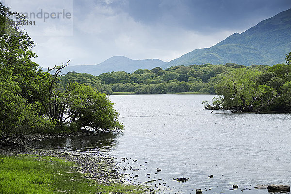 Nationalpark Landschaftlich schön landschaftlich reizvoll Ansicht Kerry County Killarney