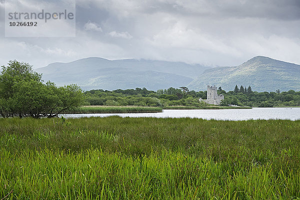 Landschaftlich schön landschaftlich reizvoll Palast Schloß Schlösser Ansicht Kerry County Killarney Nationalpark