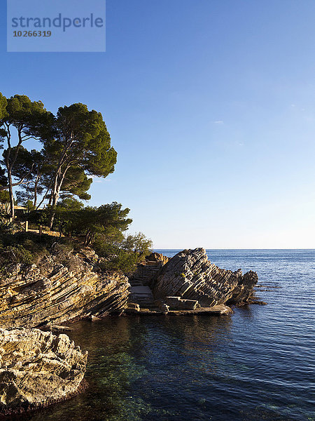 Felsen Küste Balearen Balearische Inseln Bucht Cala Ratjada Mallorca Spanien
