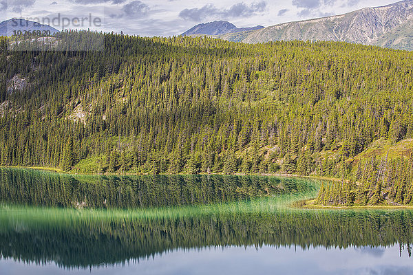 nahe See Carcross Yukon Kanada Smaragd Yukon