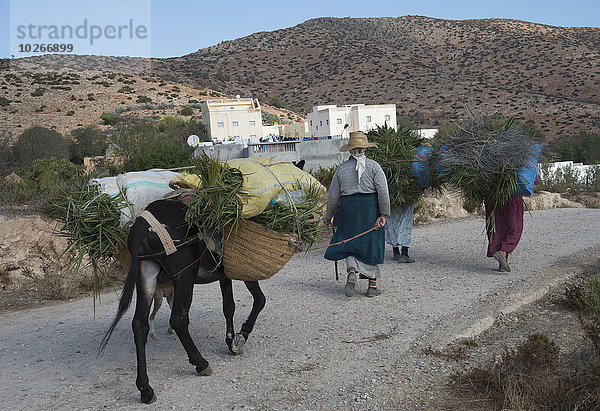 Frau arbeiten Wohnhaus Feld Rückkehr Marokko