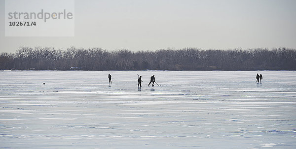 Fischereihafen Fischerhafen Insel Kanada gefroren Hockey Ontario spielen Toronto