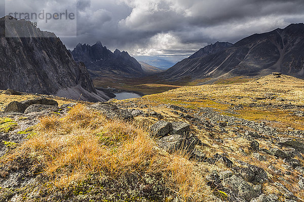 Farbaufnahme Farbe Herbst Grabstein Kanada Revierverhalten Tundra Yukon