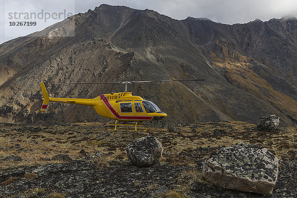 sitzend Berg gelb hoch oben Hubschrauber Grabstein Kanada Revierverhalten Yukon