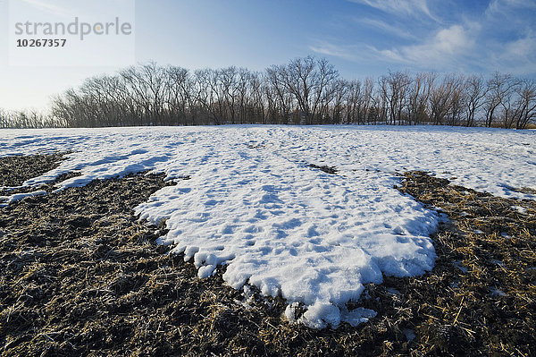 Agrarland schmelzen Kanada Manitoba Schnee