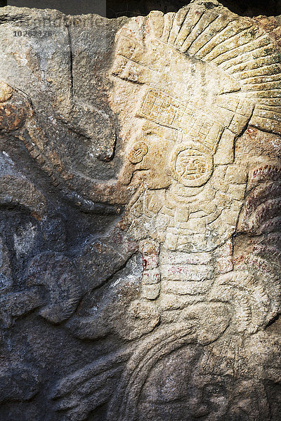 Chichen Itza Chichen-Itza Stein halten Krieger Close-up schnitzen Mexiko Detail Details Ausschnitt Ausschnitte Maya Yucatan