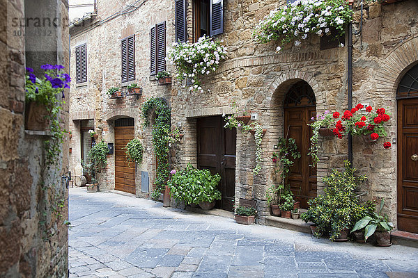 Blume Gebäude Dorf schmücken Nachbarschaft Landschaftlich schön landschaftlich reizvoll Italien Pienza Toskana