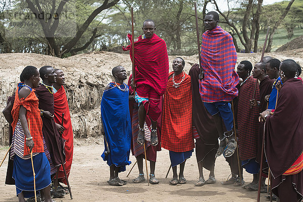 Tradition Schutz tanzen springen Dorf Zimmer Kampf Krater Masai Hindernis Tansania