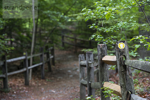 New York City Amerika folgen Wald Verbindung