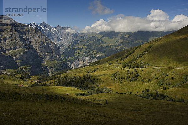 Landschaft Alpen Interlaken schweizerisch Schweiz
