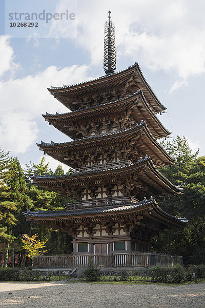 5 Geschichte Japan japanisch Kyoto Pagode