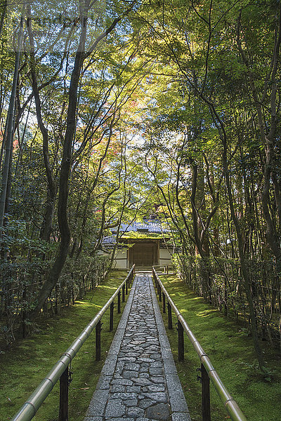 führen Stein Baum Weg lang langes langer lange Eingang Japan japanisch Kyoto